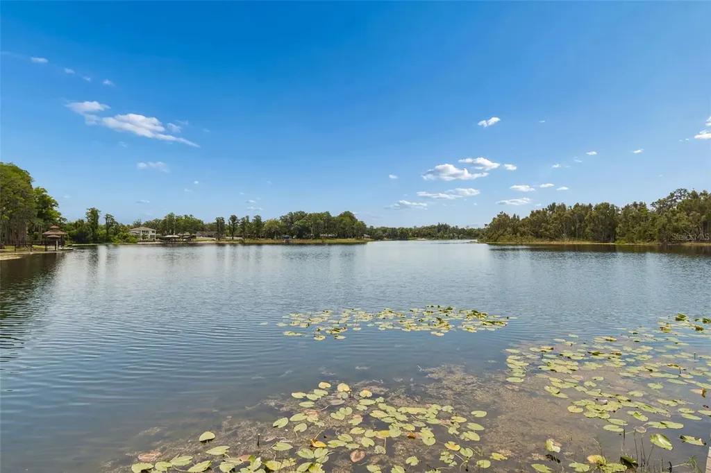 17129 Rainbow Terrace Odessa FL 33556