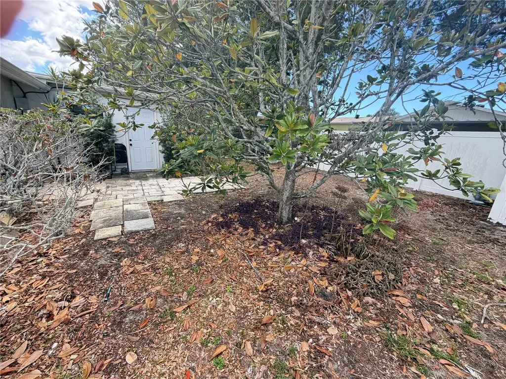 8923 Candlewick Lane Port Richey FL 34668