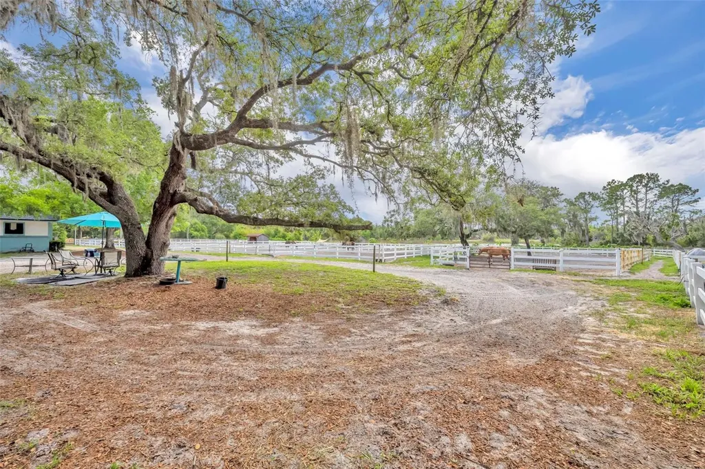 3287 N County Road 426 Geneva FL 32732