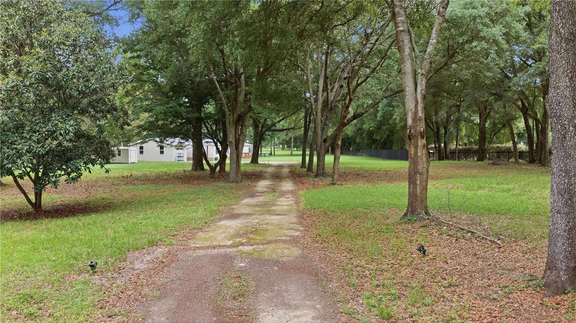 13250 NW 160th Avenue Morriston FL 32668
