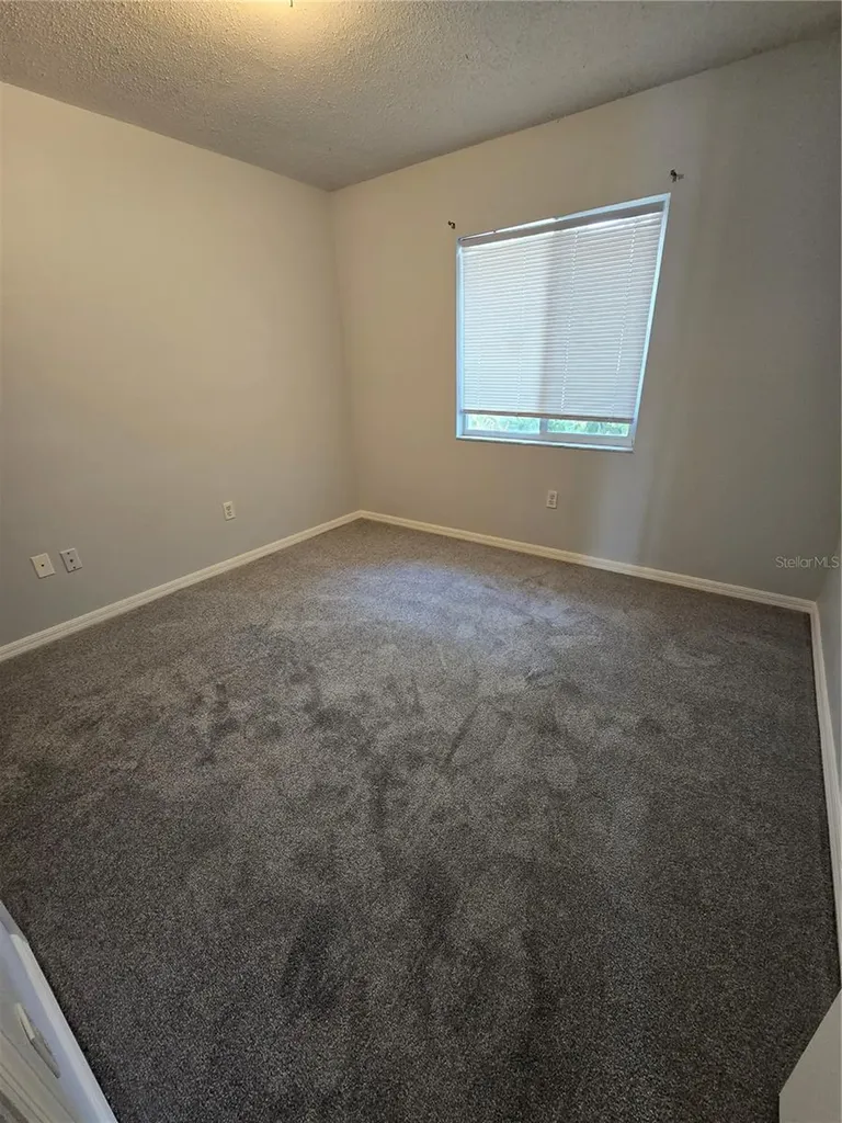 3126 Pine Top Drive Valrico FL 33594