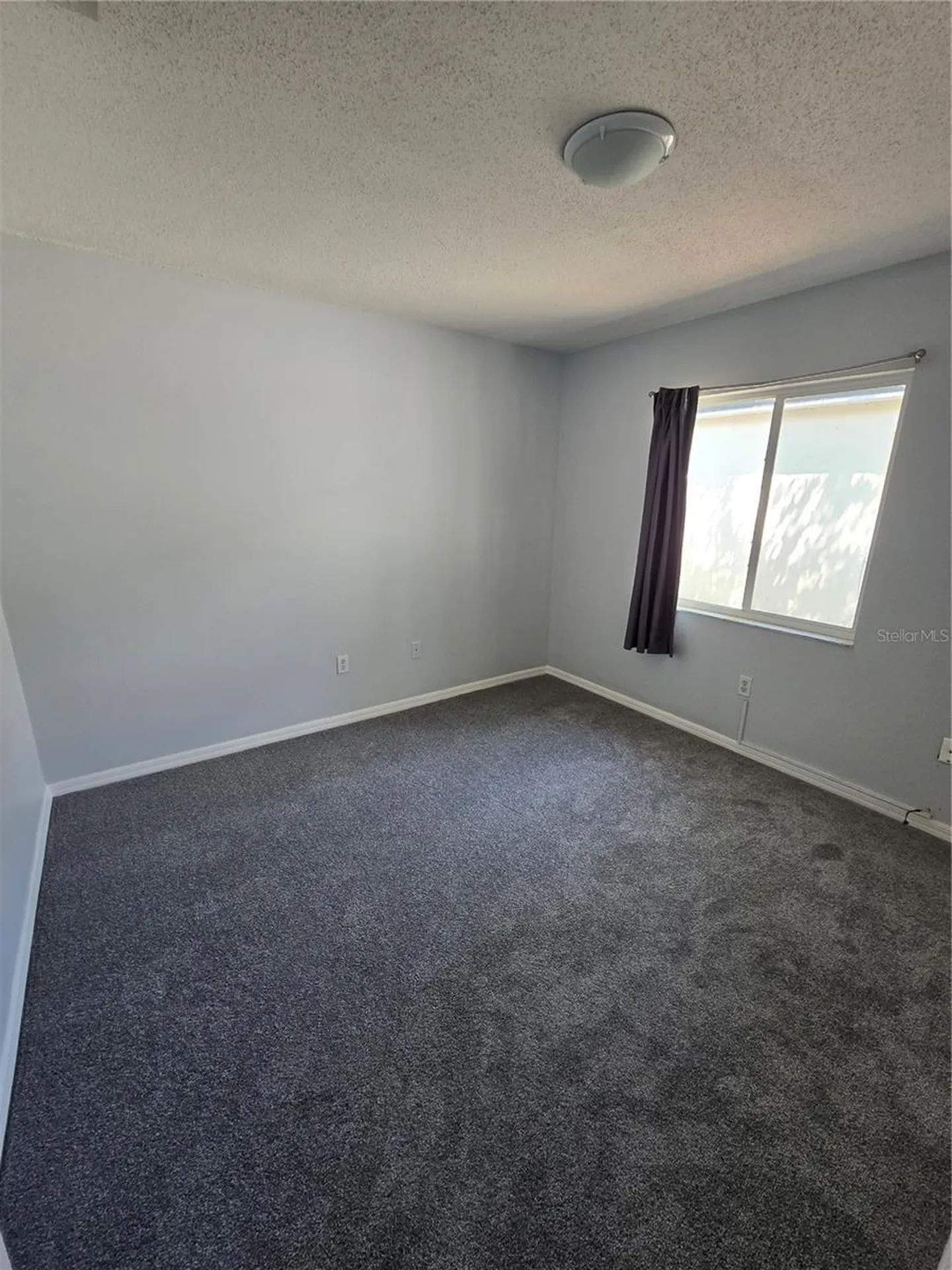 3126 Pine Top Drive Valrico FL 33594