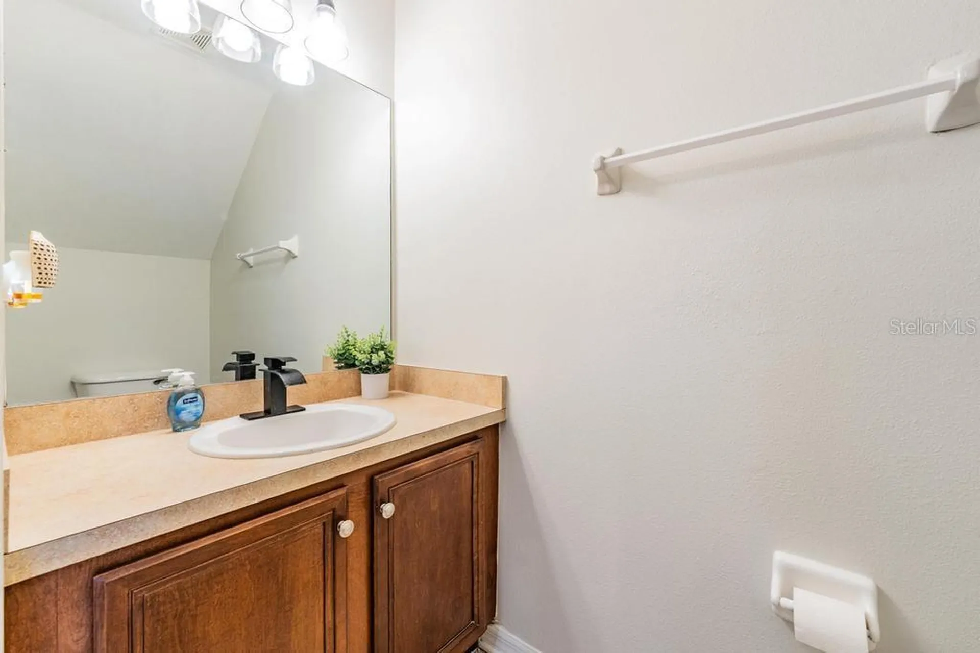 12441 Foxmoor Peak Drive Riverview FL 33579
