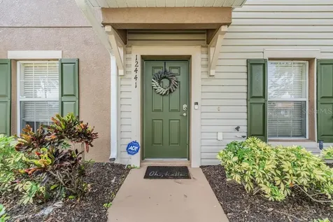 12441 Foxmoor Peak Drive Riverview FL 33579