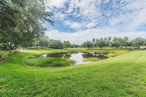 12441 Foxmoor Peak Drive Riverview FL 33579