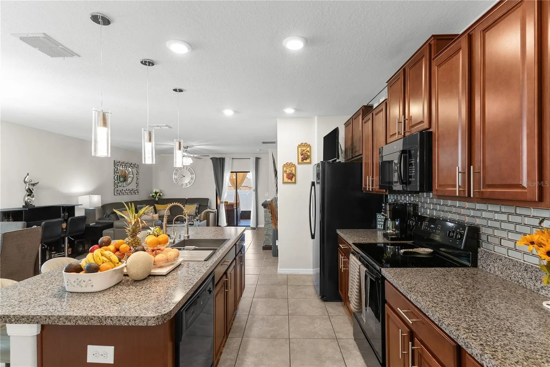 10216 Carloway Hills Drive Wimauma FL 33598