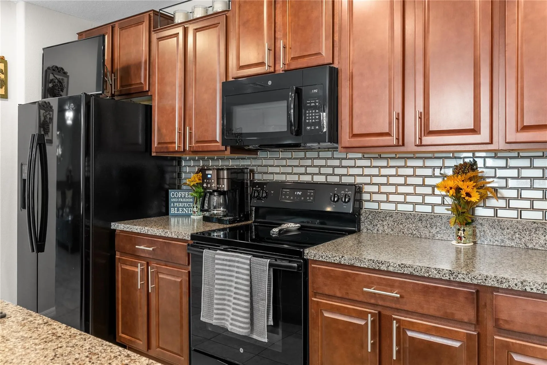10216 Carloway Hills Drive Wimauma FL 33598