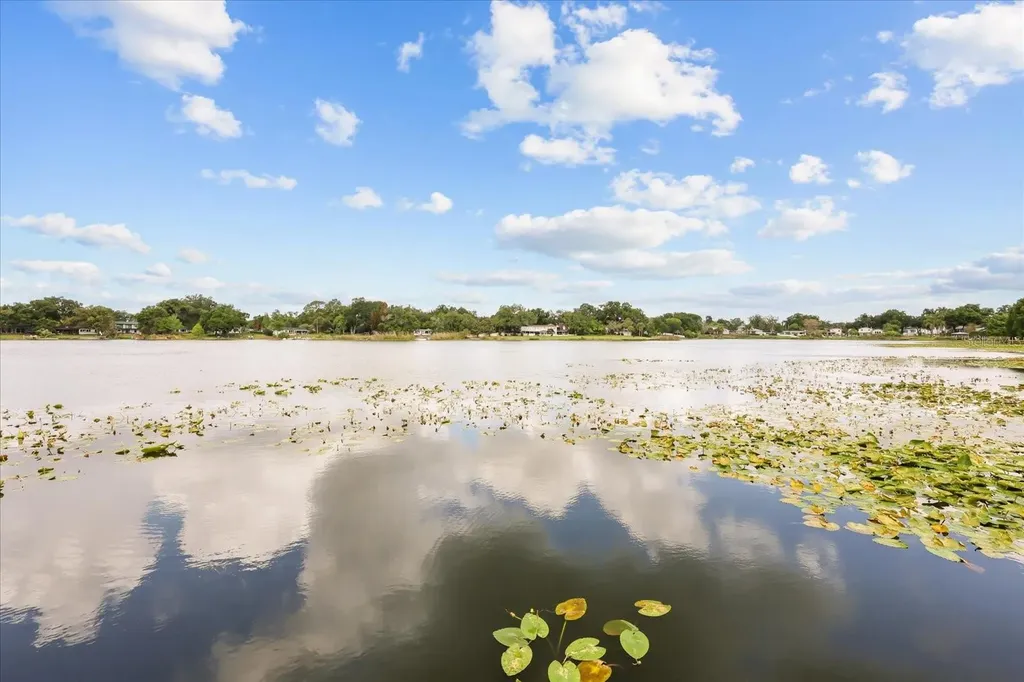 2822 Bass Lake Boulevard Orlando FL 32806