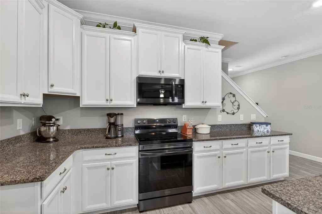 2213 Cerulean Sky Drive Lutz FL 33558