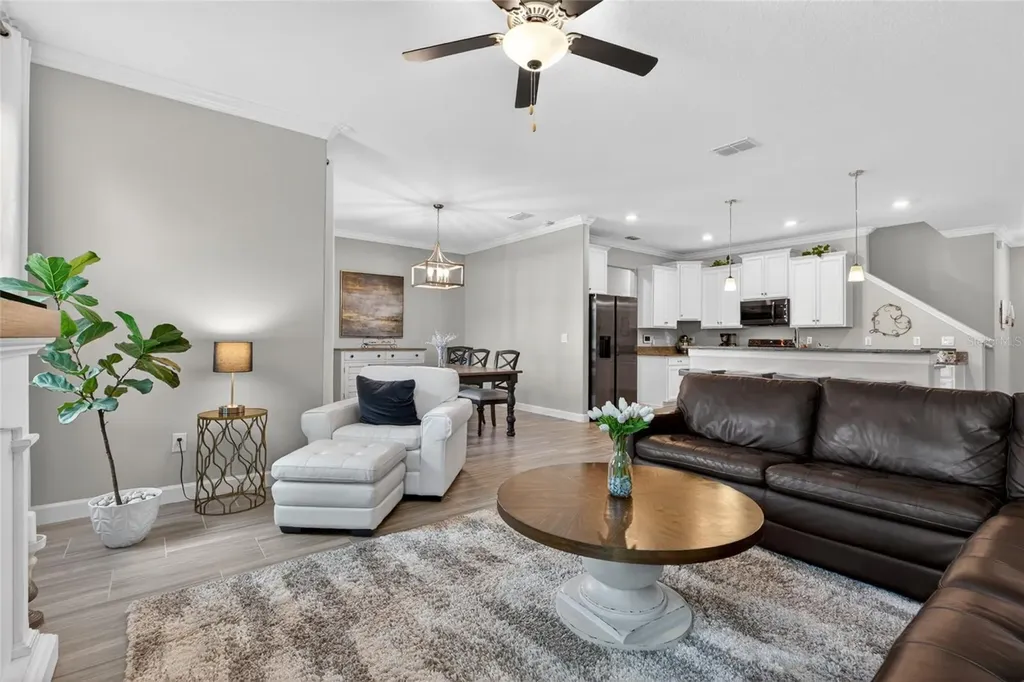 2213 Cerulean Sky Drive Lutz FL 33558