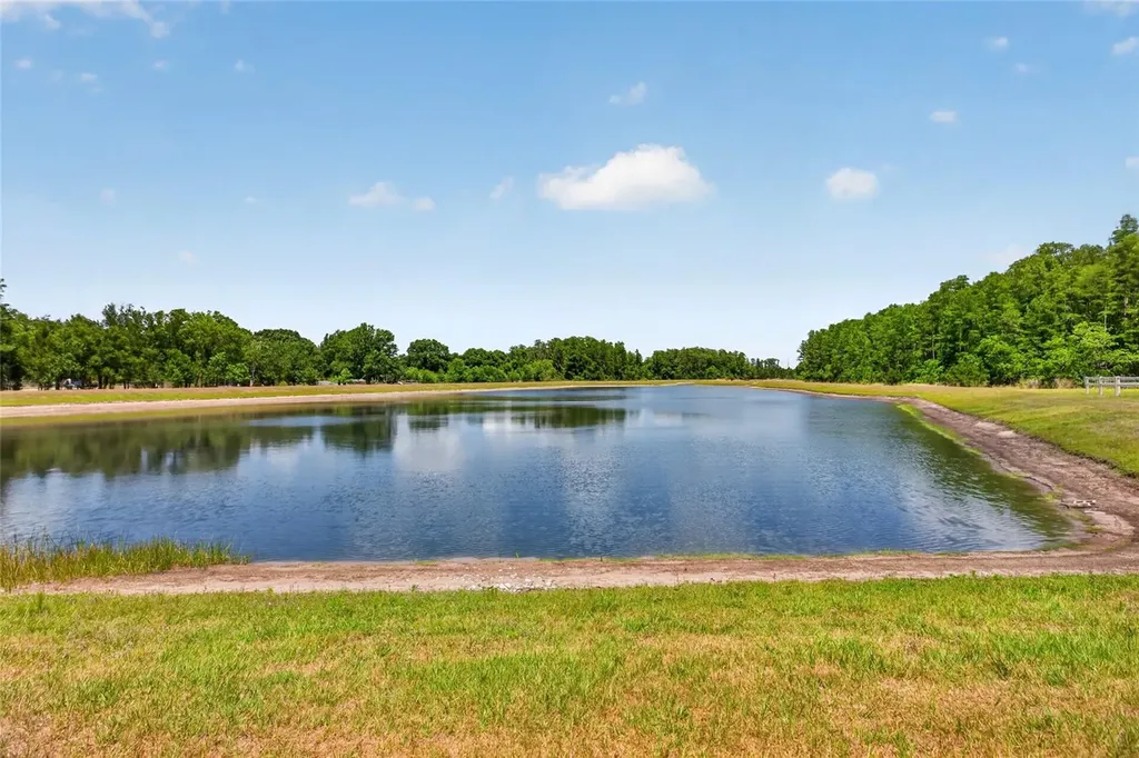 2213 Cerulean Sky Drive Lutz FL 33558