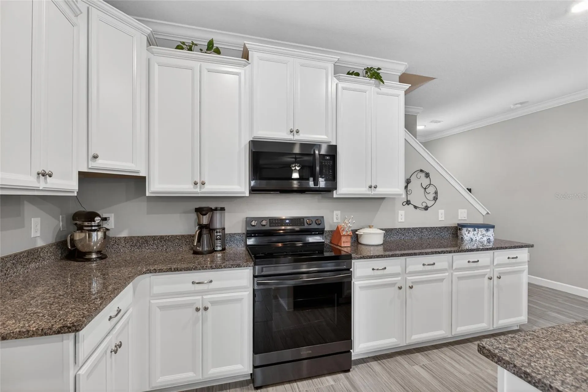 2213 Cerulean Sky Drive Lutz FL 33558