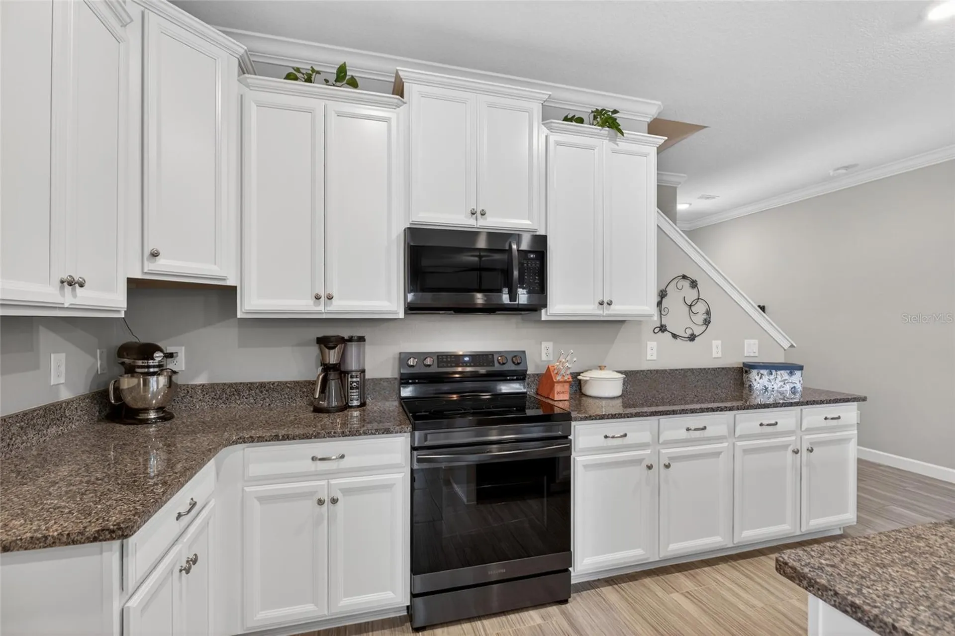 2213 Cerulean Sky Drive Lutz FL 33558