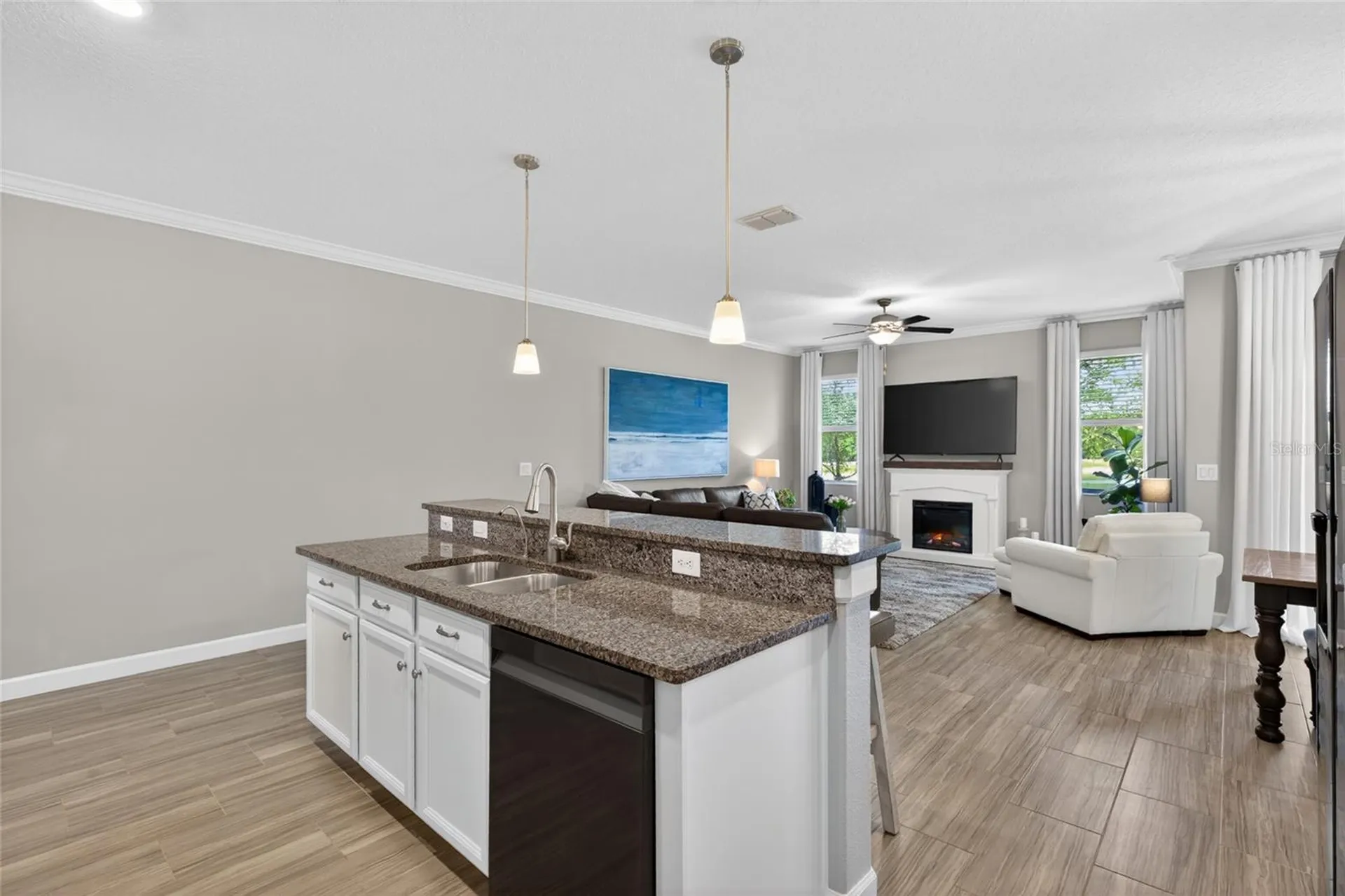 2213 Cerulean Sky Drive Lutz FL 33558