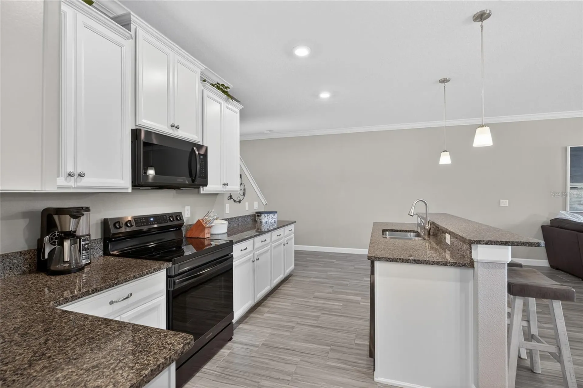 2213 Cerulean Sky Drive Lutz FL 33558