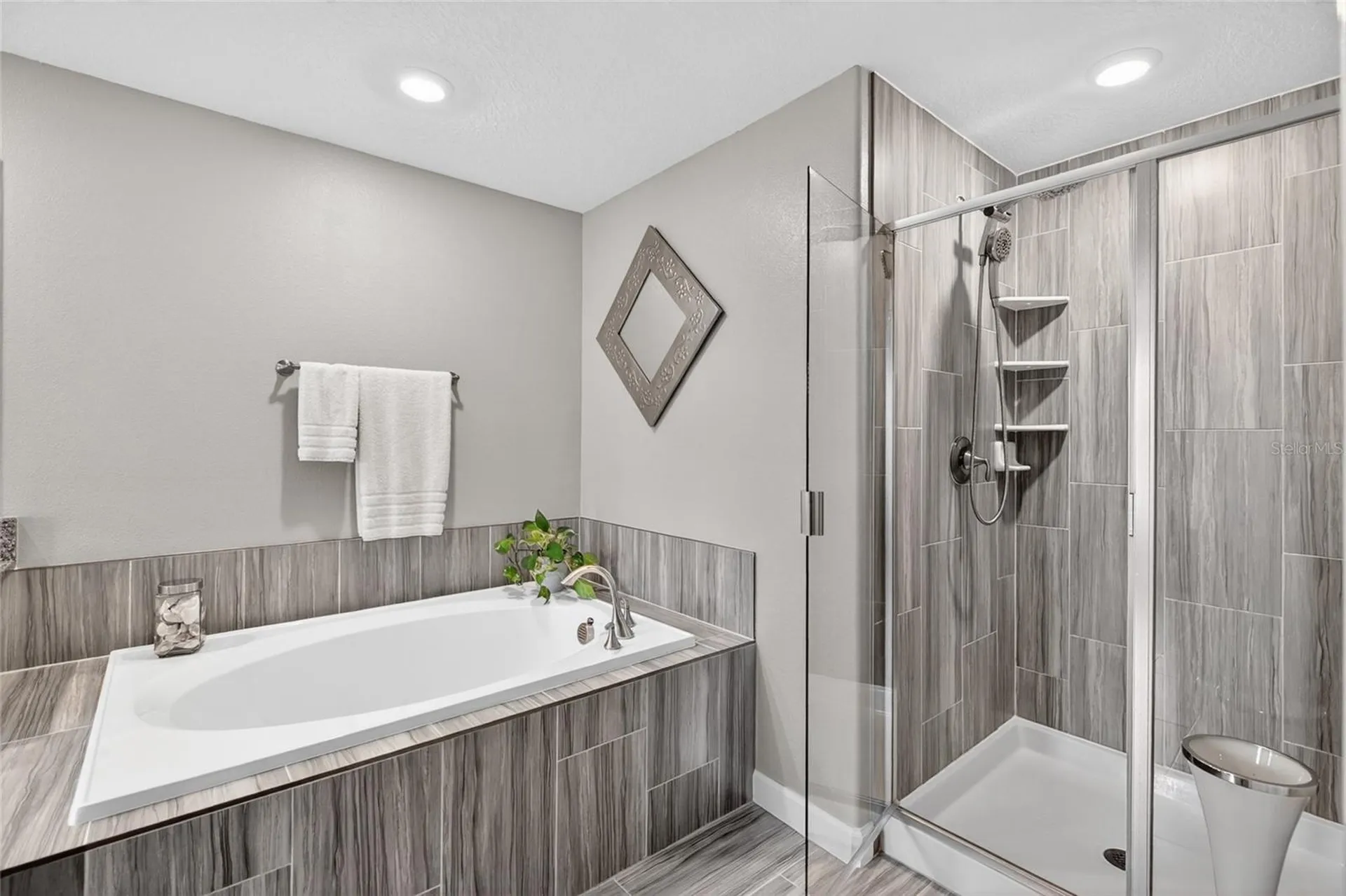 2213 Cerulean Sky Drive Lutz FL 33558