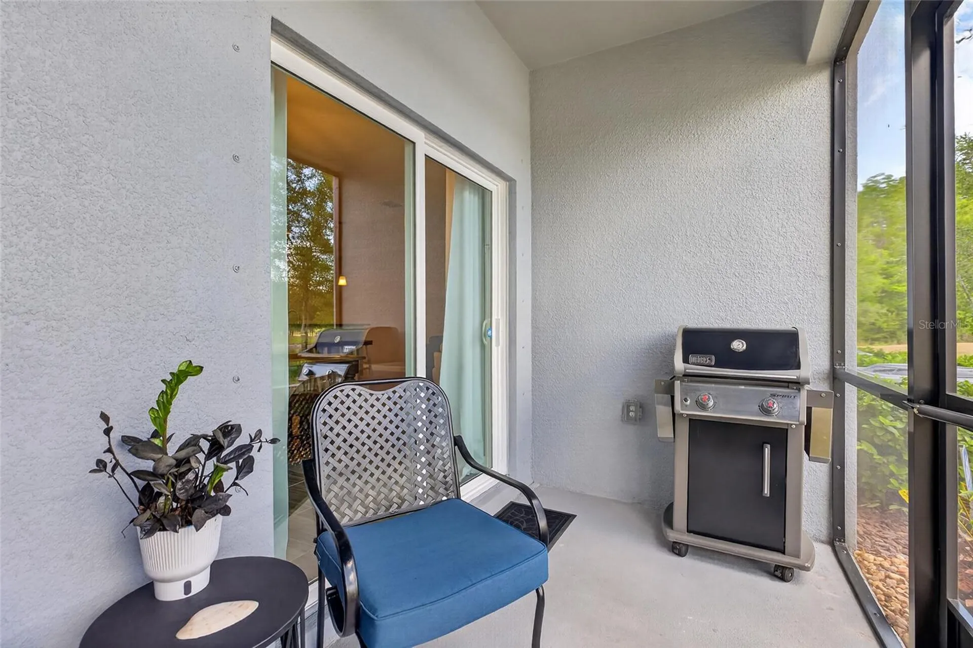 2213 Cerulean Sky Drive Lutz FL 33558