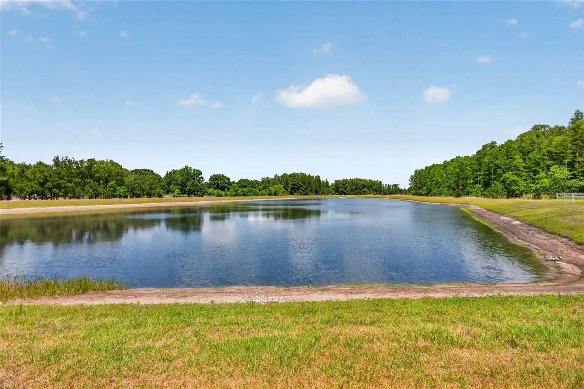 2213 Cerulean Sky Drive Lutz FL 33558