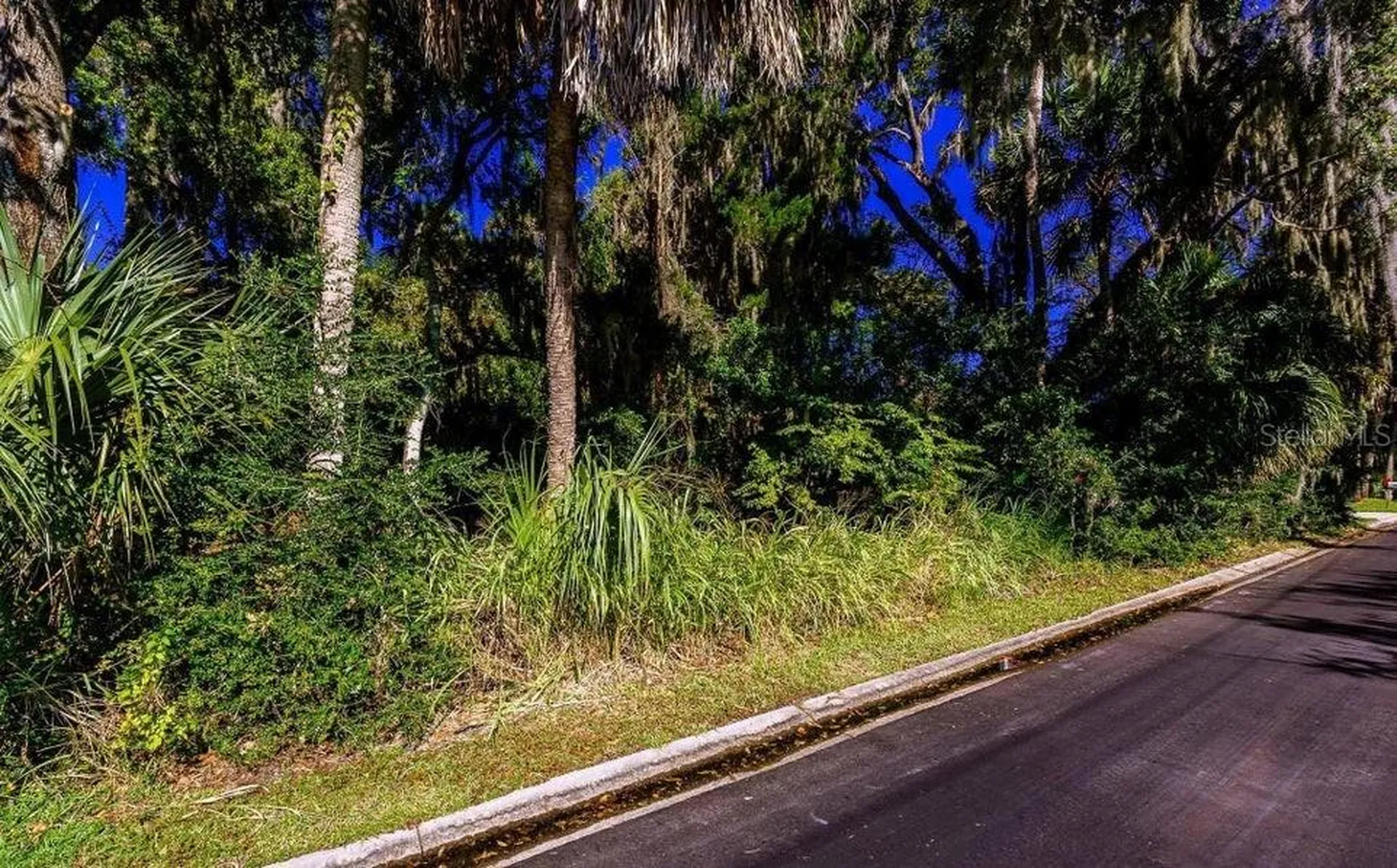 493 Hammock Lane Ormond Beach FL 32174