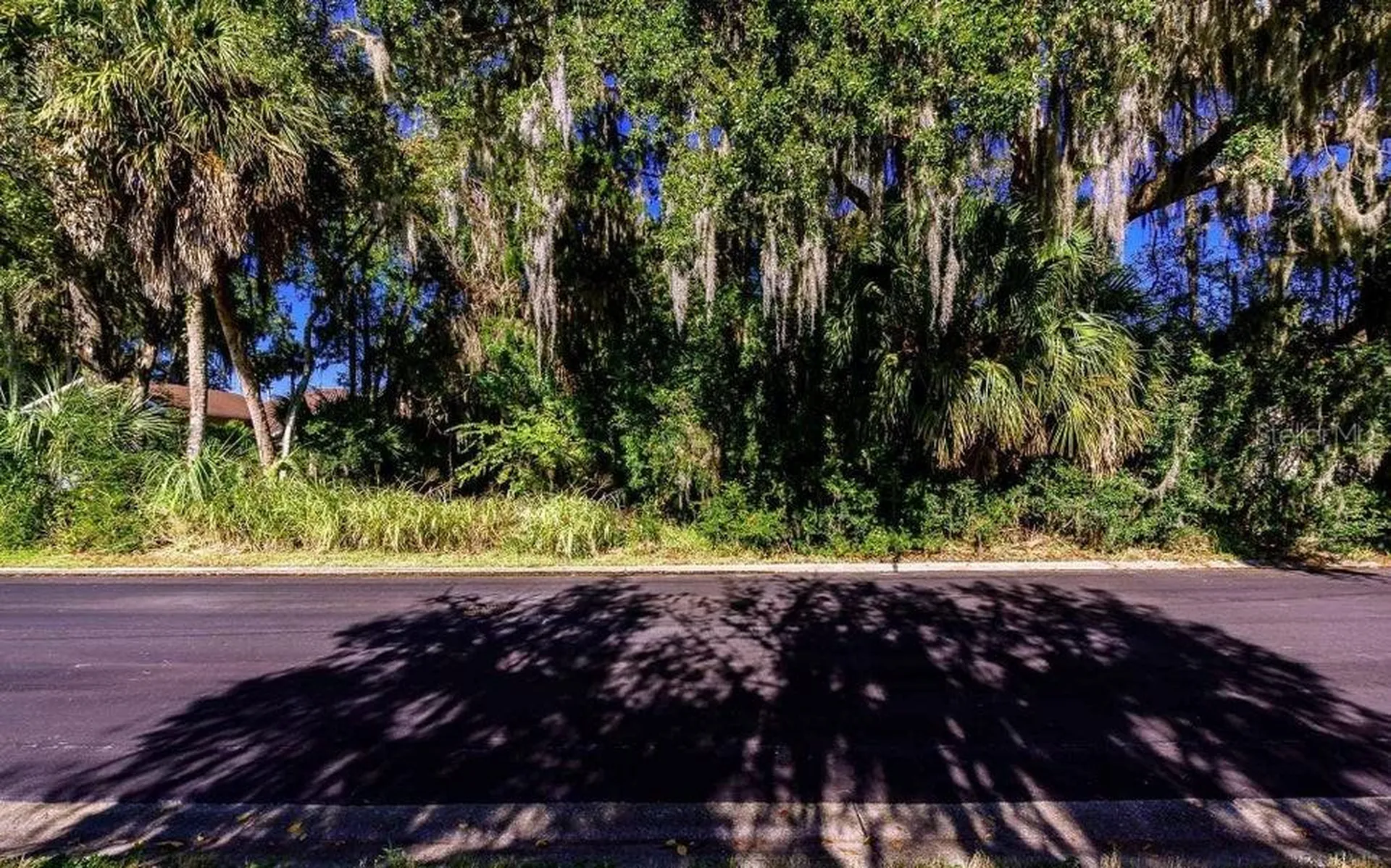 493 Hammock Lane Ormond Beach FL 32174