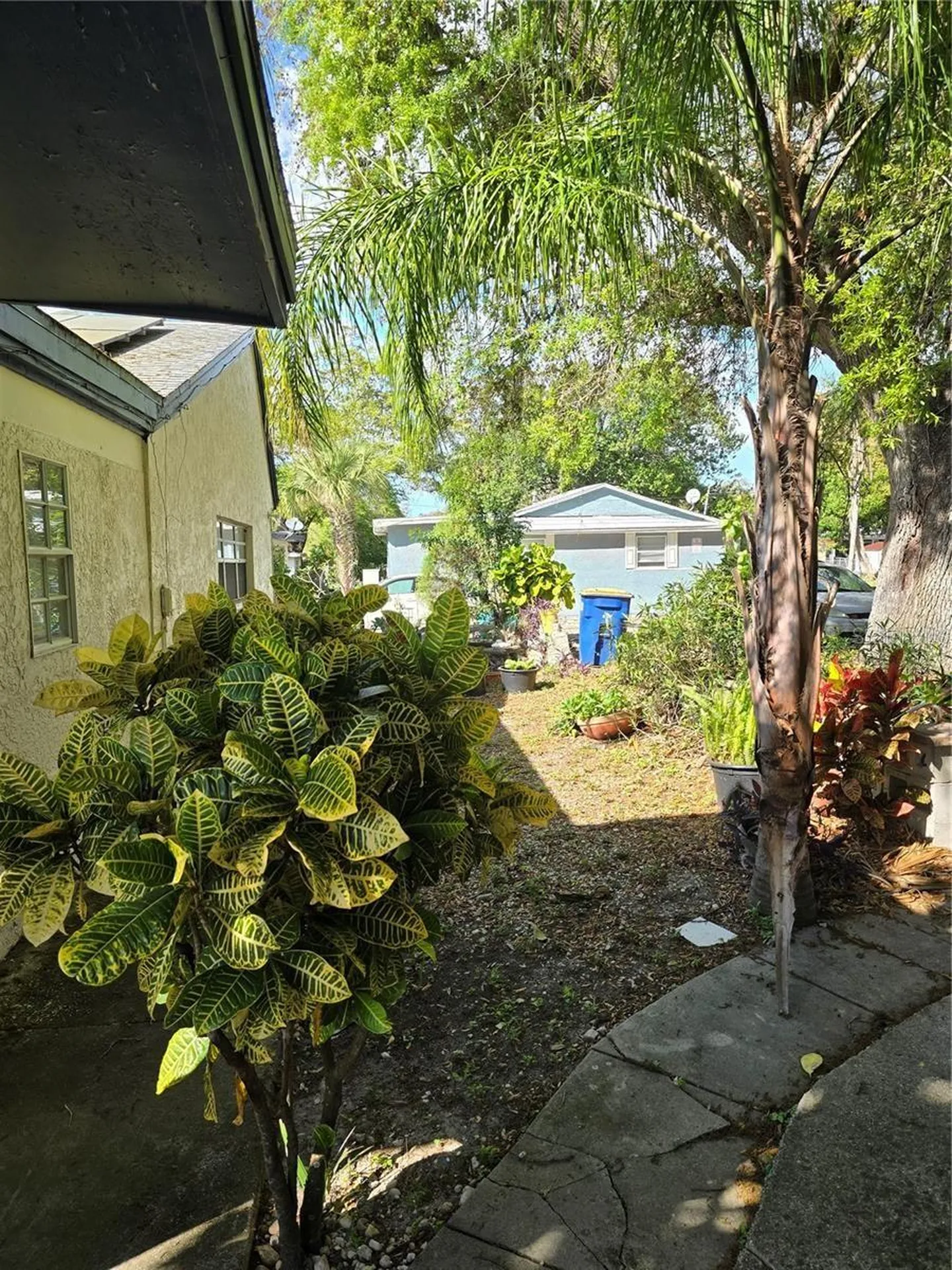 1118 Harris Lane Clearwater FL 33756