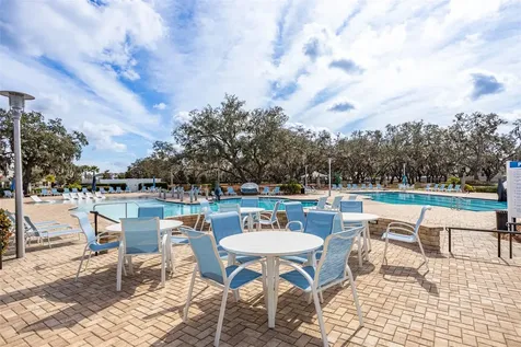 12619 Hammock Park Drive Riverview FL 33579