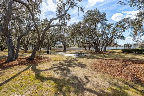 12619 Hammock Park Drive Riverview FL 33579