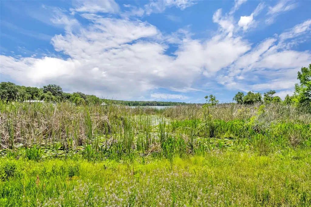 13450 SE 105th Terrace Ocklawaha FL 32179