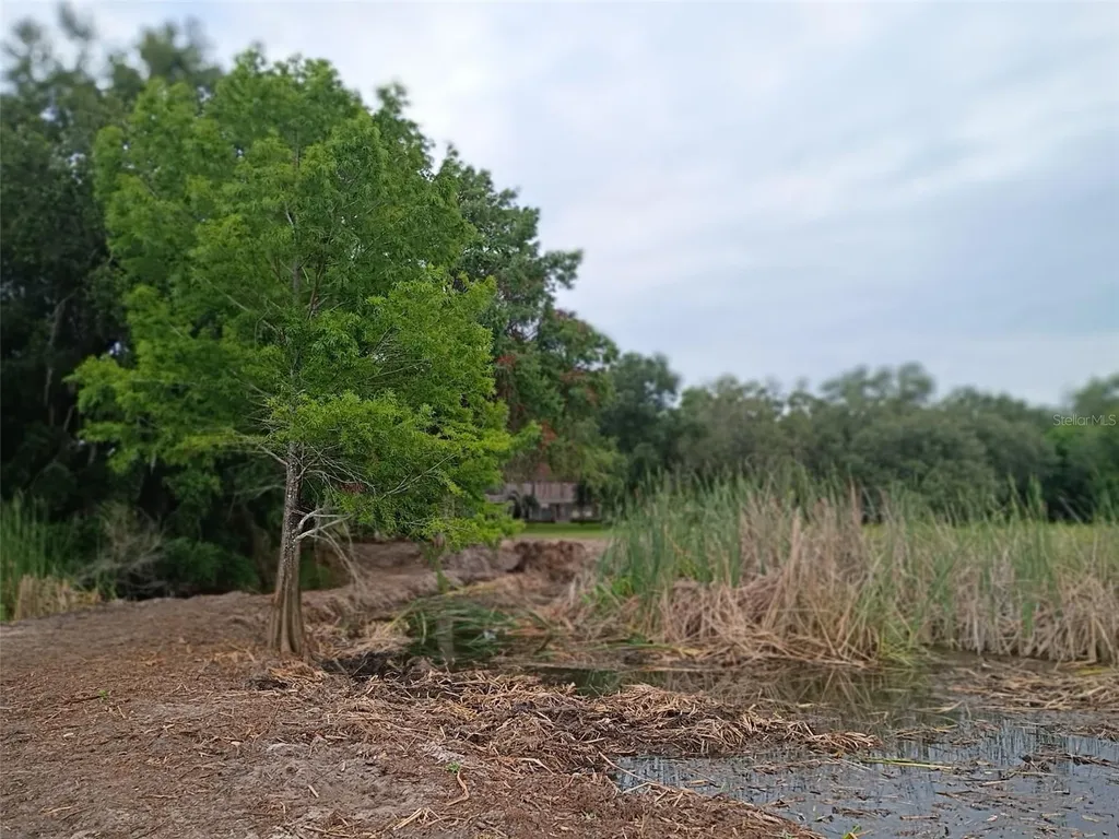 13450 SE 105th Terrace Ocklawaha FL 32179