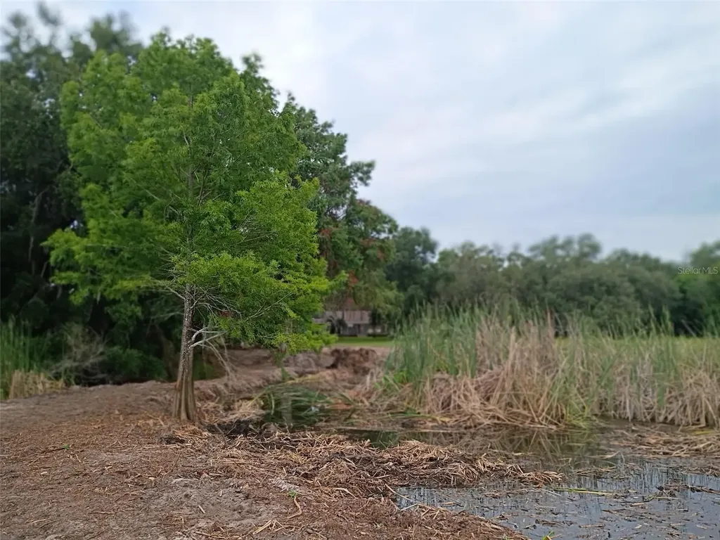 13450 SE 105th Terrace Ocklawaha FL 32179
