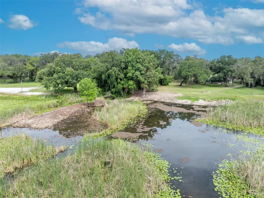 13450 SE 105th Terrace Ocklawaha FL 32179