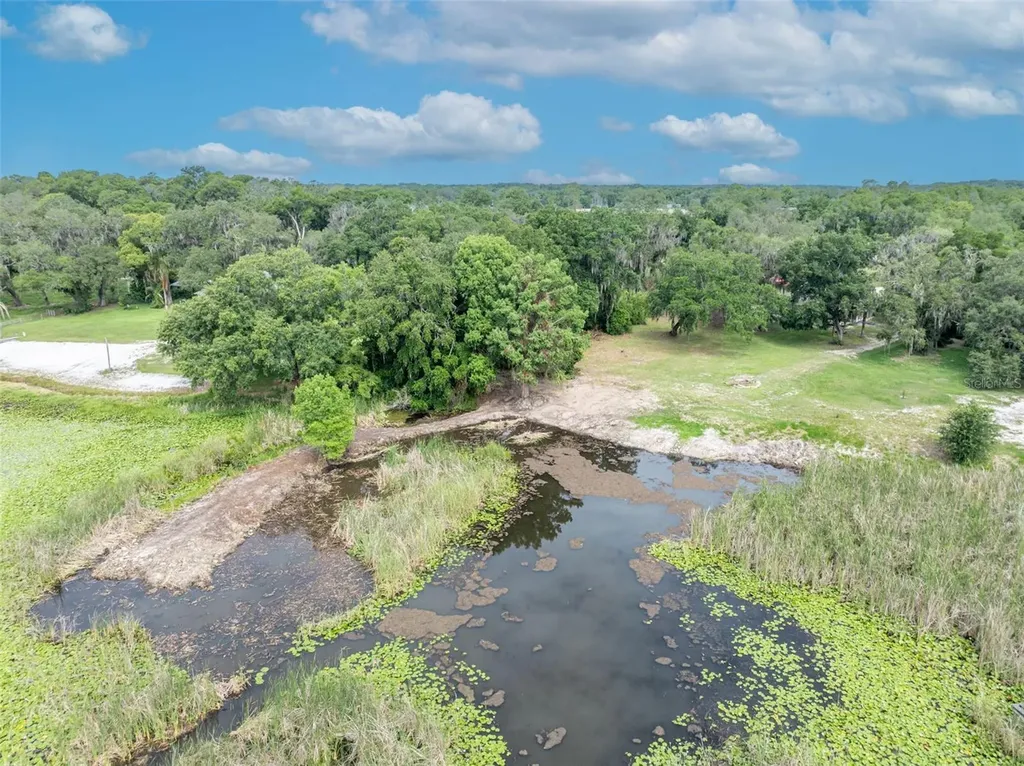 13450 SE 105th Terrace Ocklawaha FL 32179