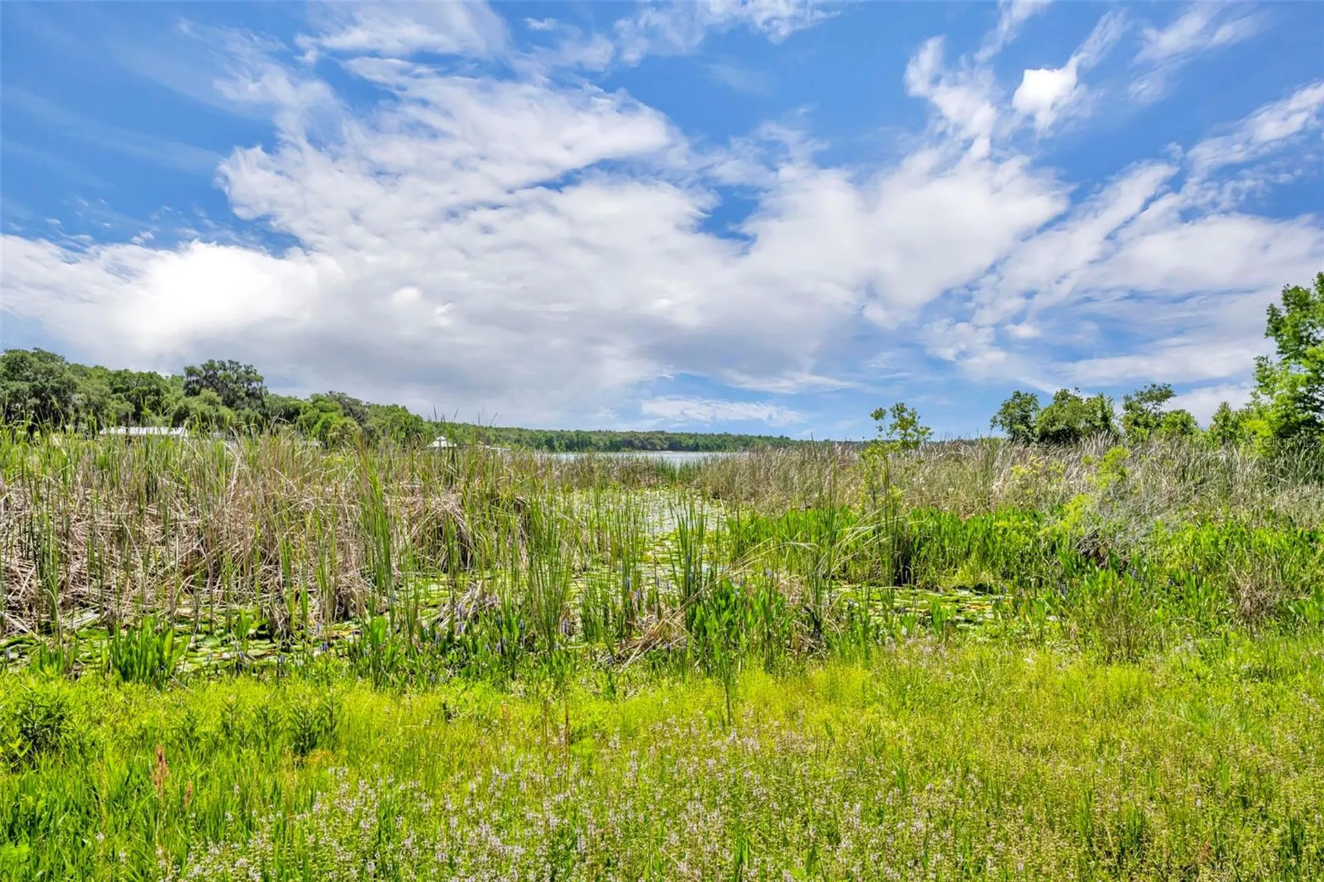 13450 SE 105th Terrace Ocklawaha FL 32179