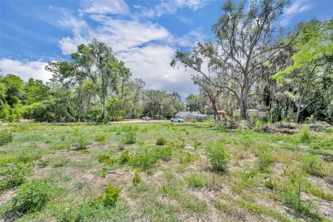 13450 SE 105th Terrace Ocklawaha FL 32179