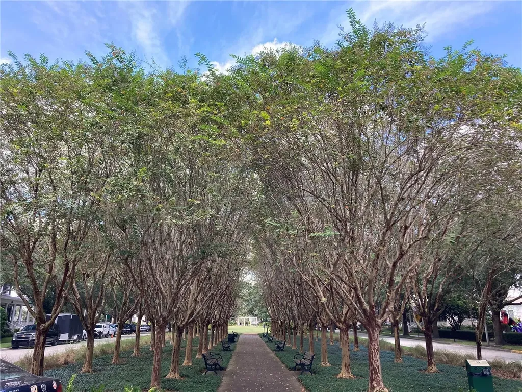 912 Towhee Court Celebration FL 34747
