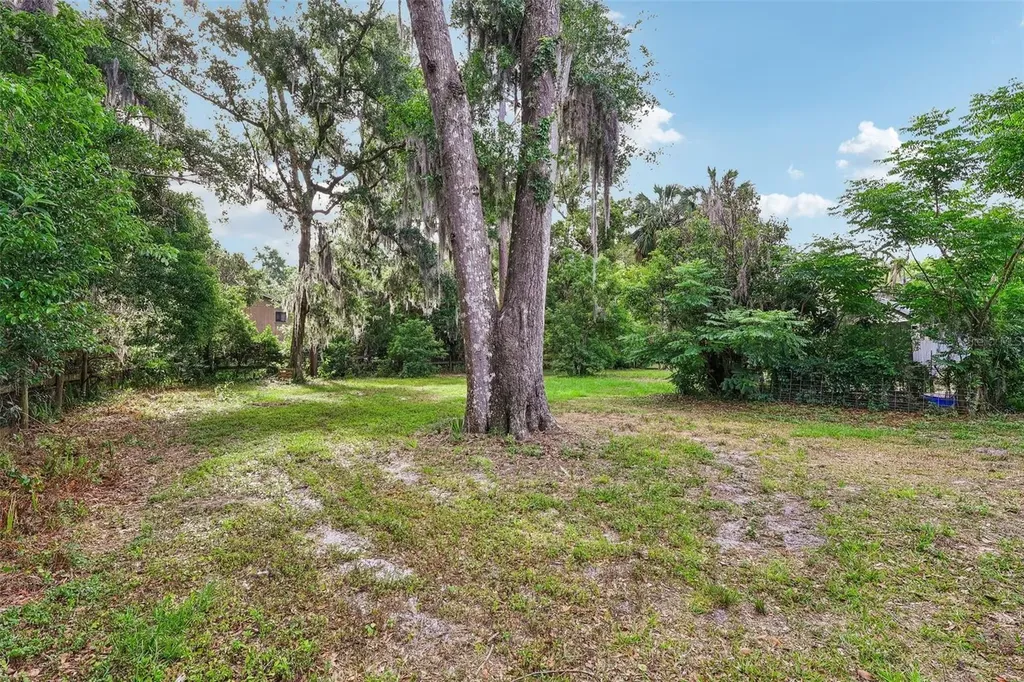 321 E 11th Avenue Mount Dora FL 32757