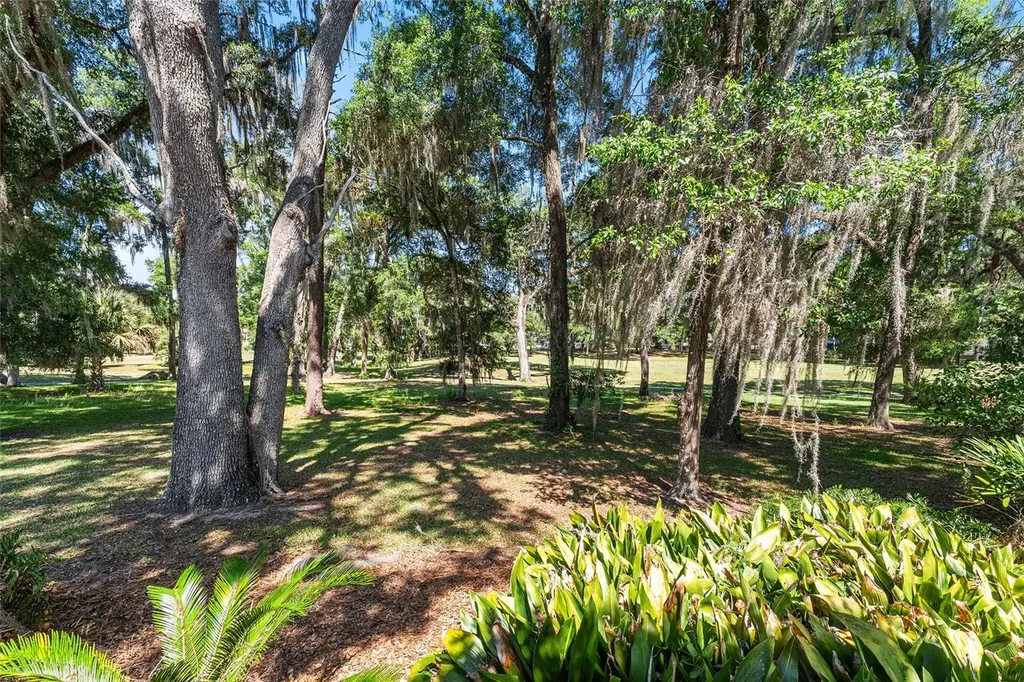 8827 SW 194 Court Dunnellon FL 34432