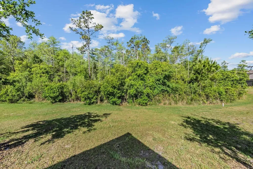 16595 Shell Bay Drive Land O Lakes FL 34638