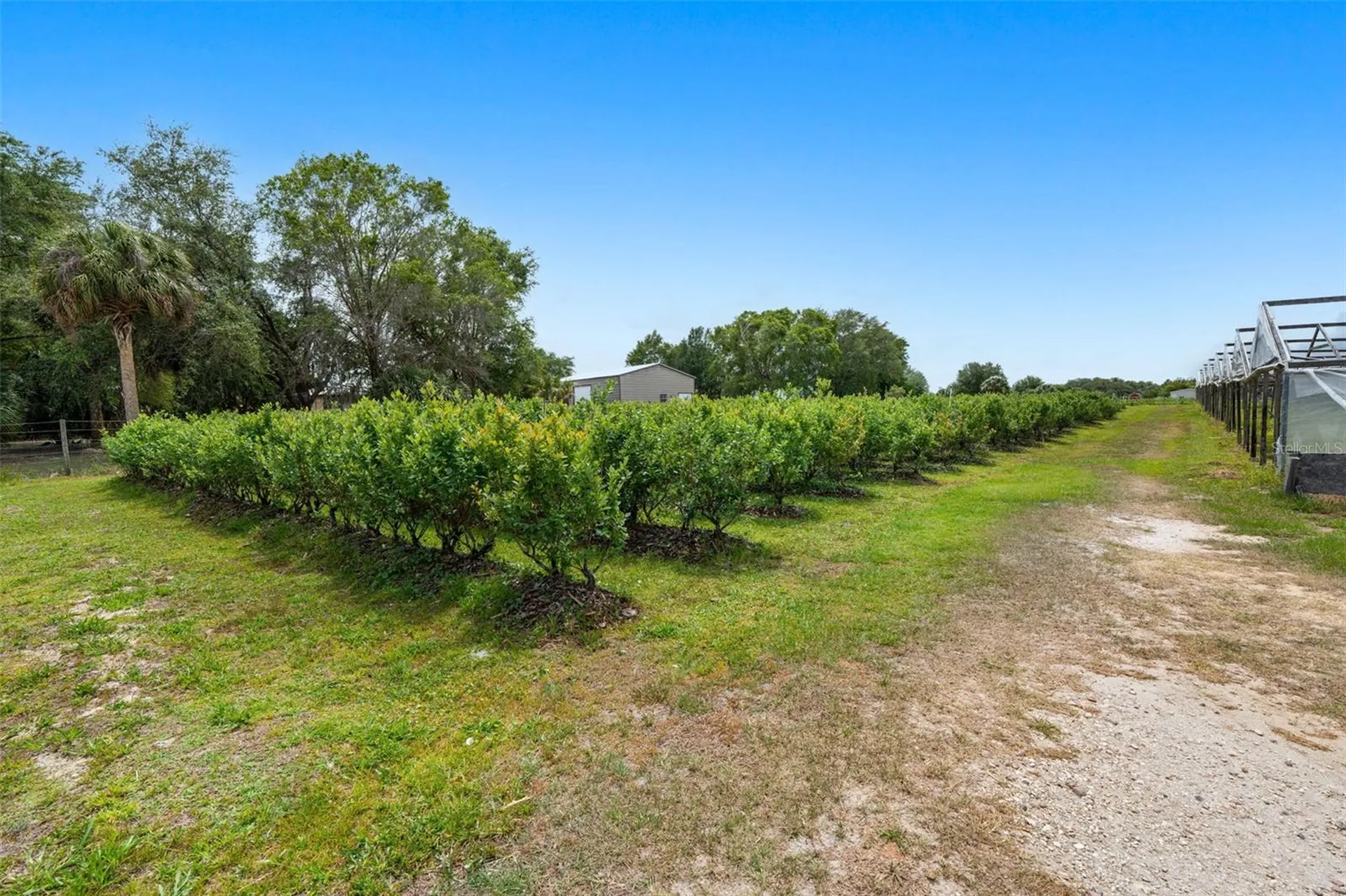 3510 Walk In Water Road Lake Wales FL 33898