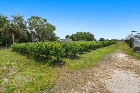 3510 Walk In Water Road Lake Wales FL 33898