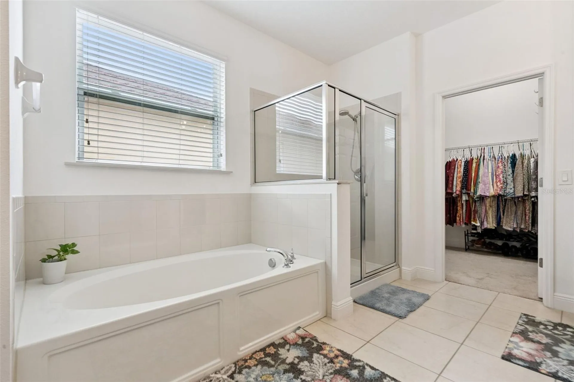 1157 Vinsetta Circle Winter Garden FL 34787
