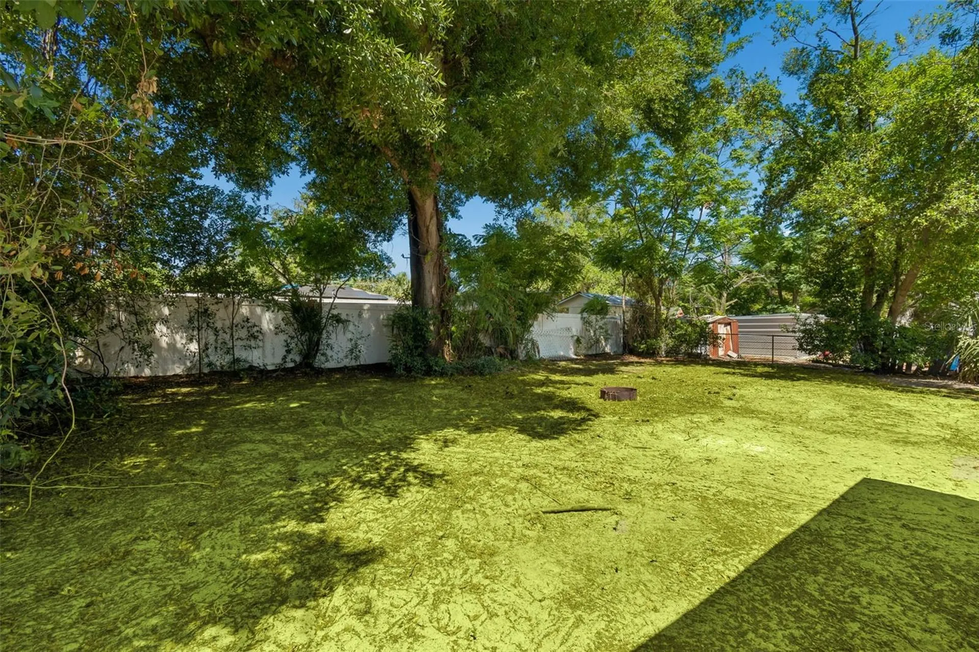11206 N Arden Avenue Tampa FL 33612