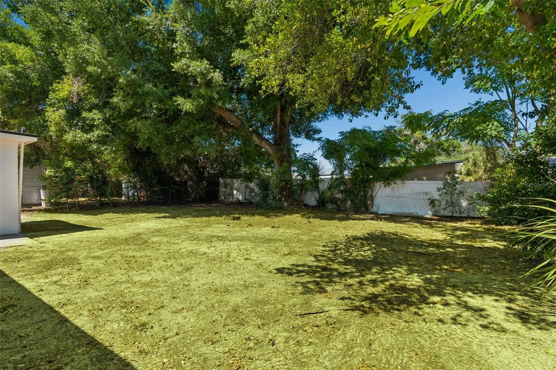 11206 N Arden Avenue Tampa FL 33612
