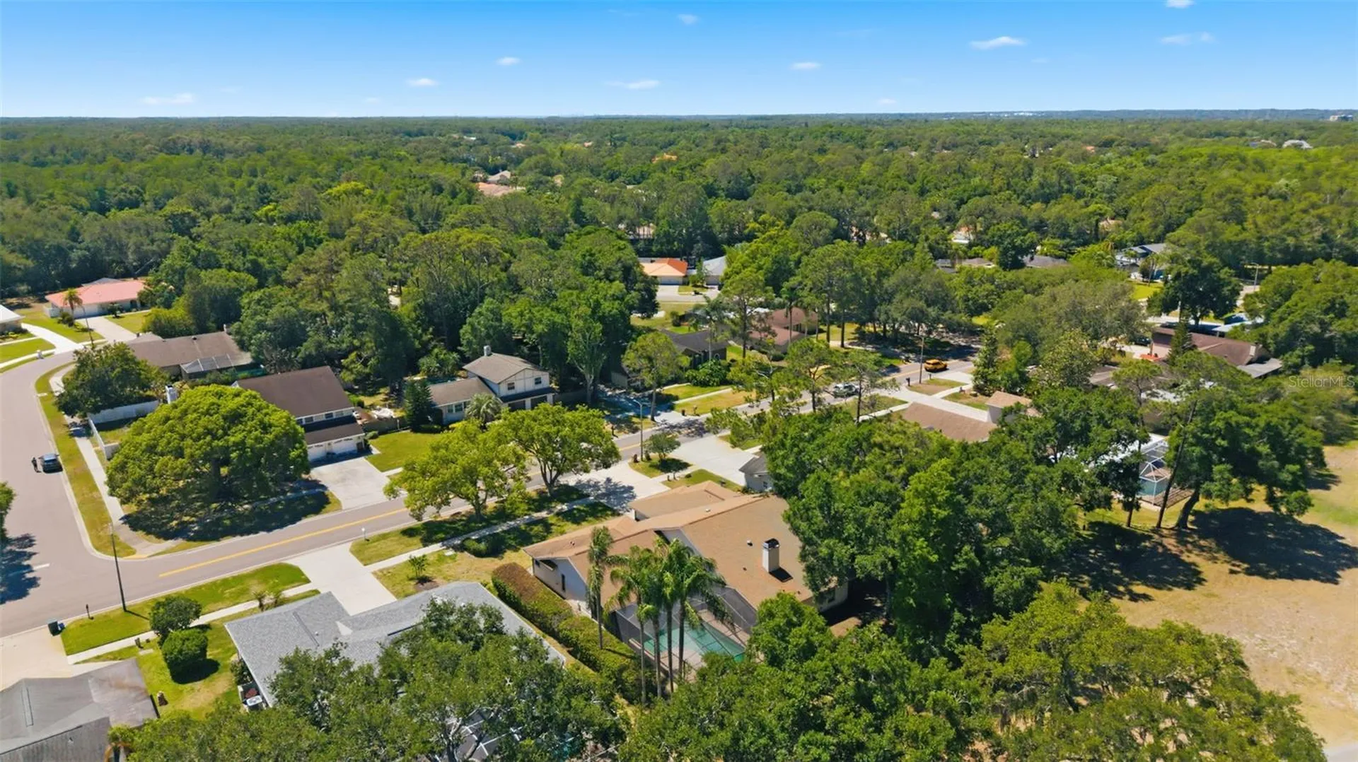 3285 Tarpon Woods Boulevard Palm Harbor FL 34685
