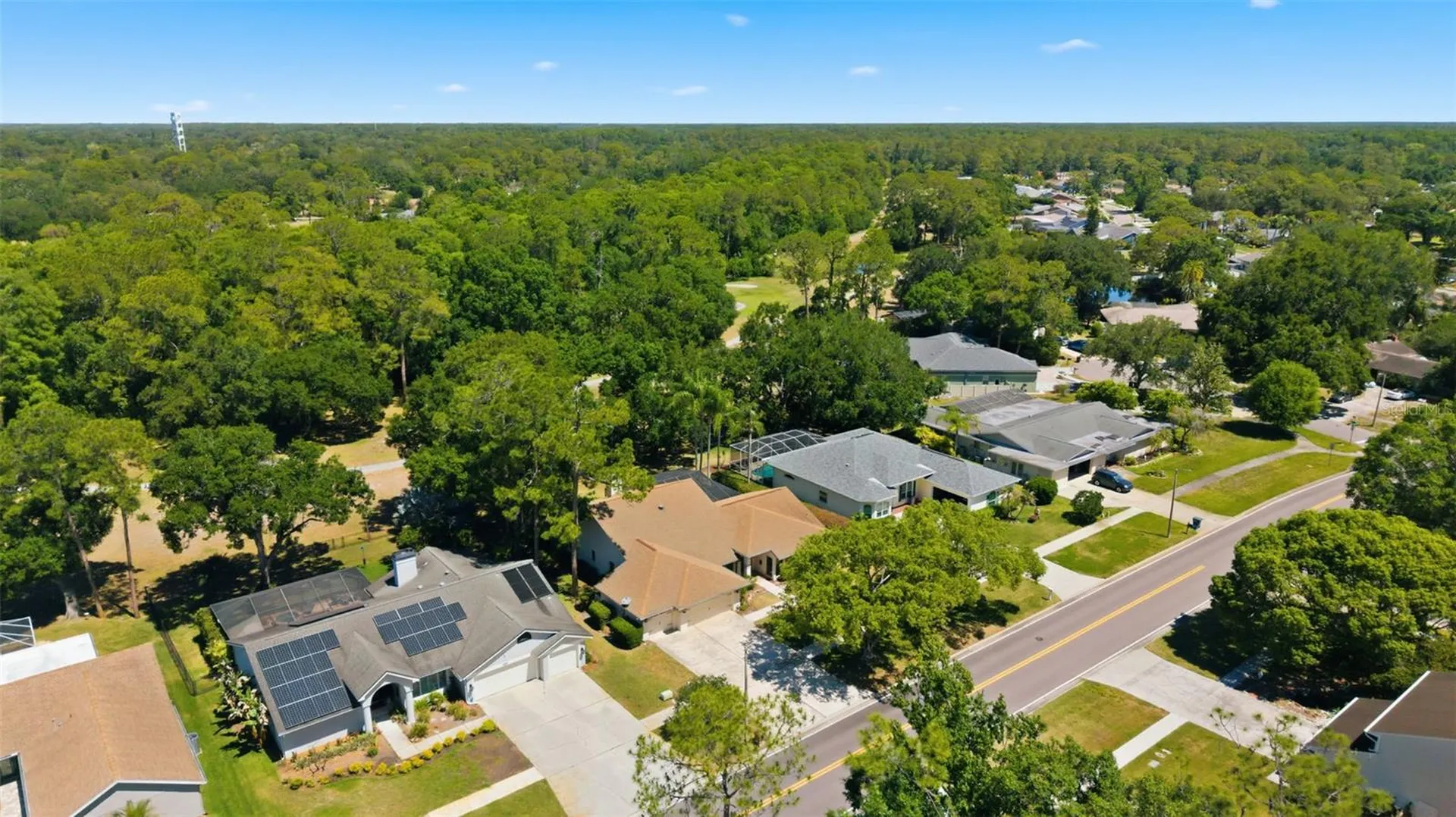 3285 Tarpon Woods Boulevard Palm Harbor FL 34685