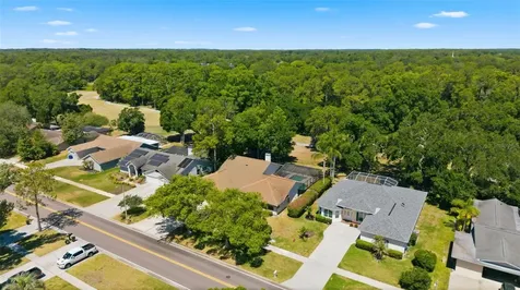 3285 Tarpon Woods Boulevard Palm Harbor FL 34685