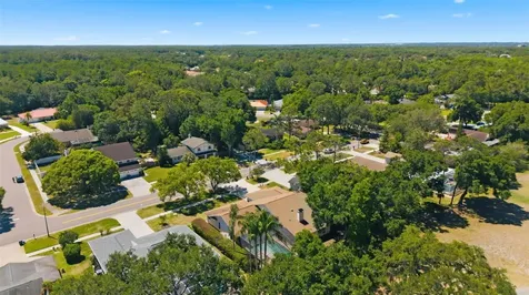 3285 Tarpon Woods Boulevard Palm Harbor FL 34685
