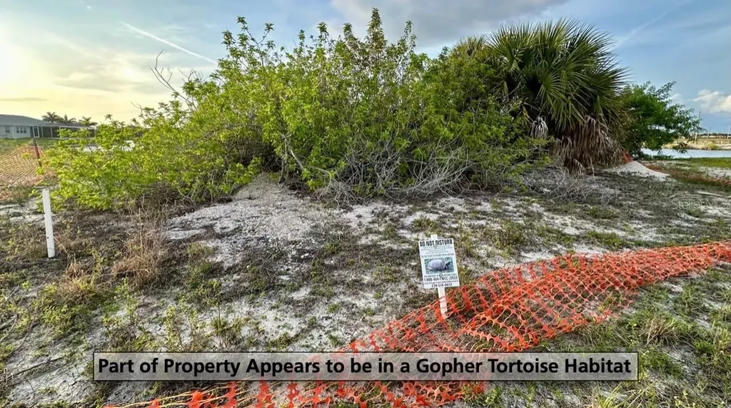 3233 NW 9th Street Cape Coral FL 33993