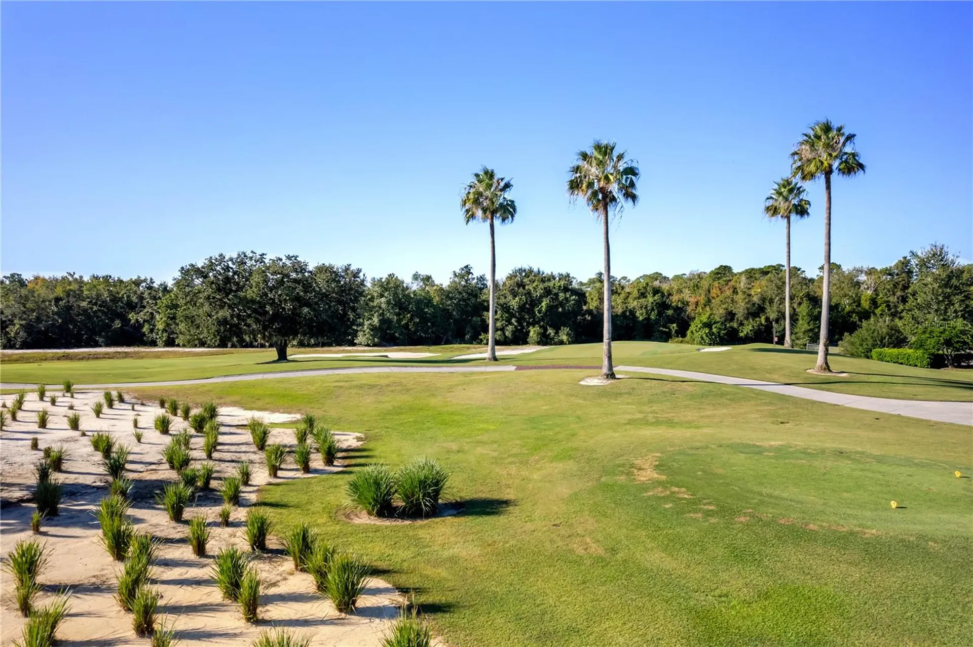 1188 Castle Pines Court Reunion FL 34747
