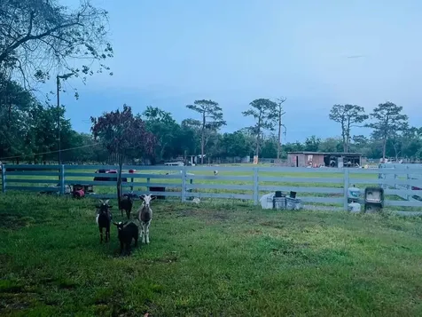 3225 Packard Avenue St Cloud FL 34772